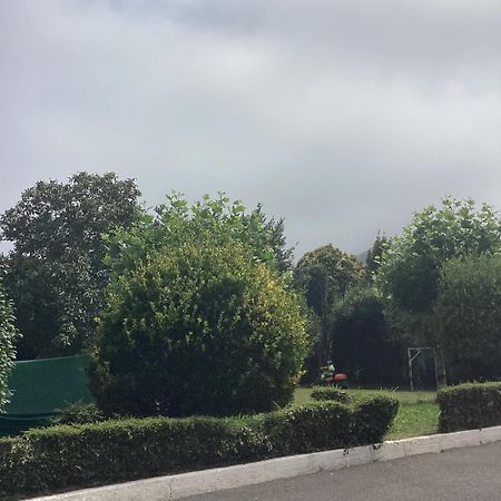 Corias Casona Junto Al Narceaヴィラ エクステリア 写真