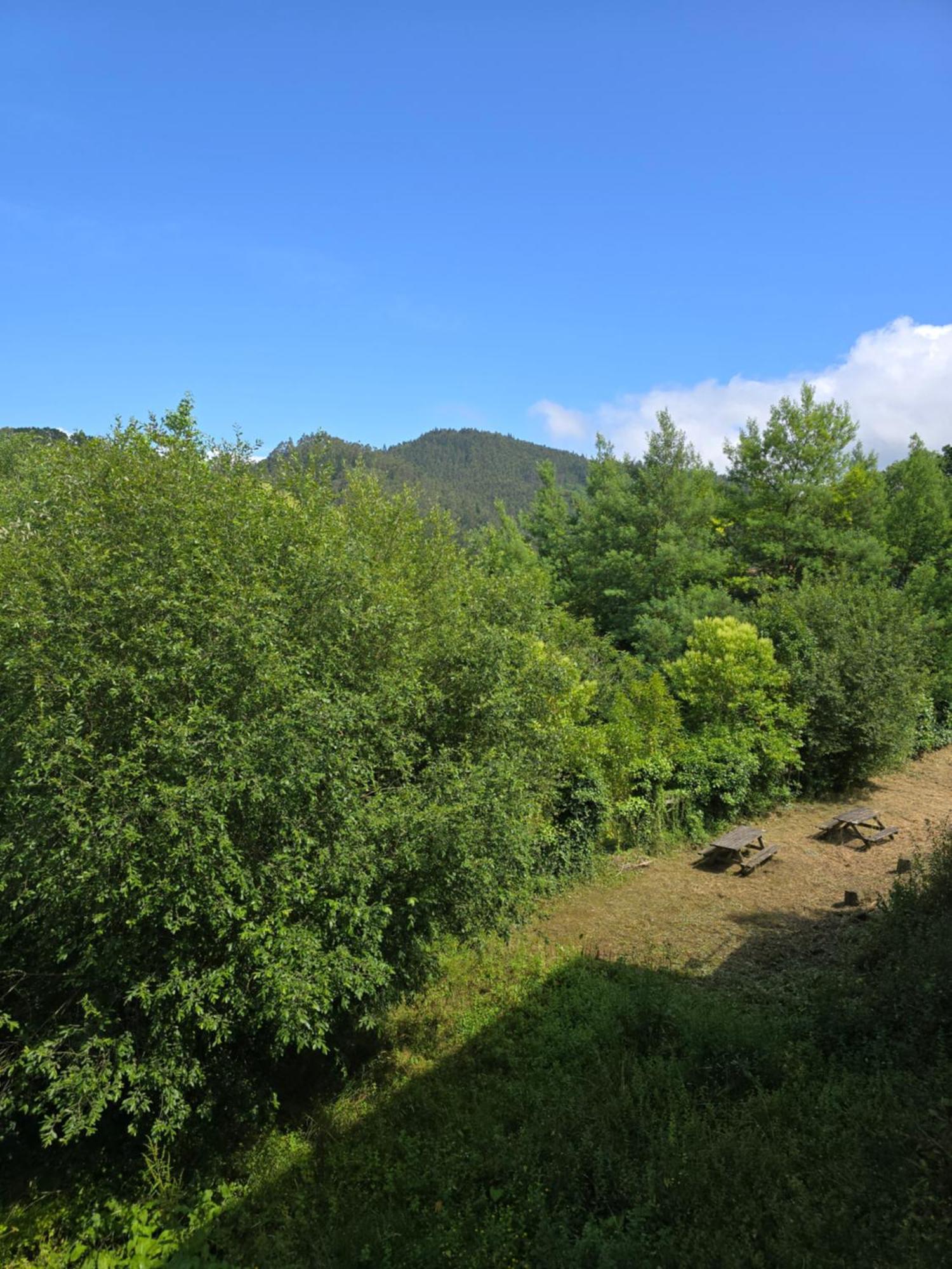 Corias Casona Junto Al Narceaヴィラ エクステリア 写真