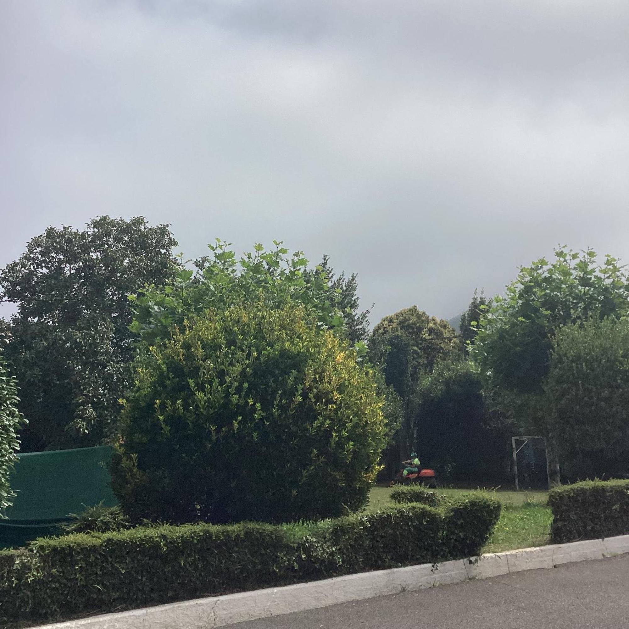 Corias Casona Junto Al Narceaヴィラ エクステリア 写真